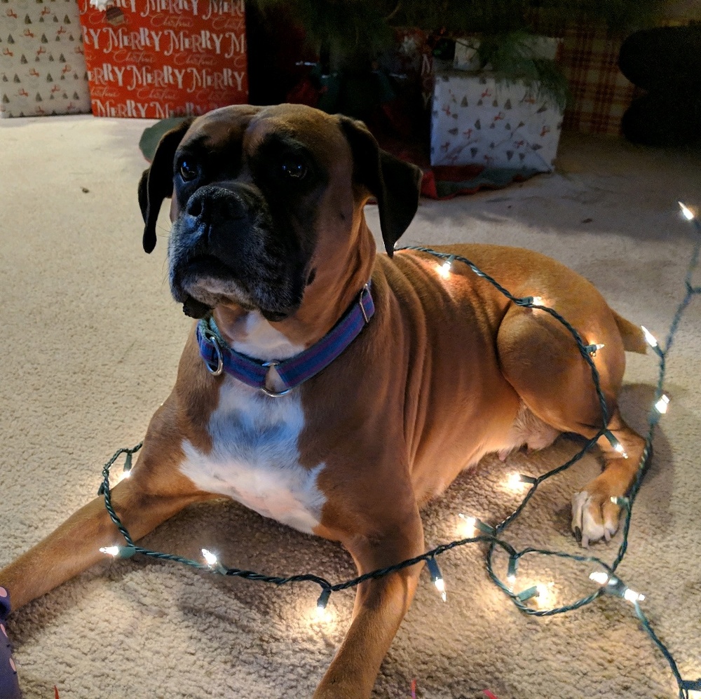 Meet your Posher, Aspen